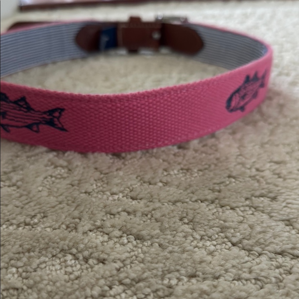 Vineyard Vine belt